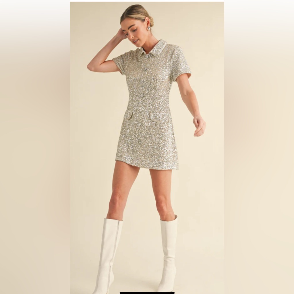 Mable By Anthropologie. Sparkling Silver Mini Dress